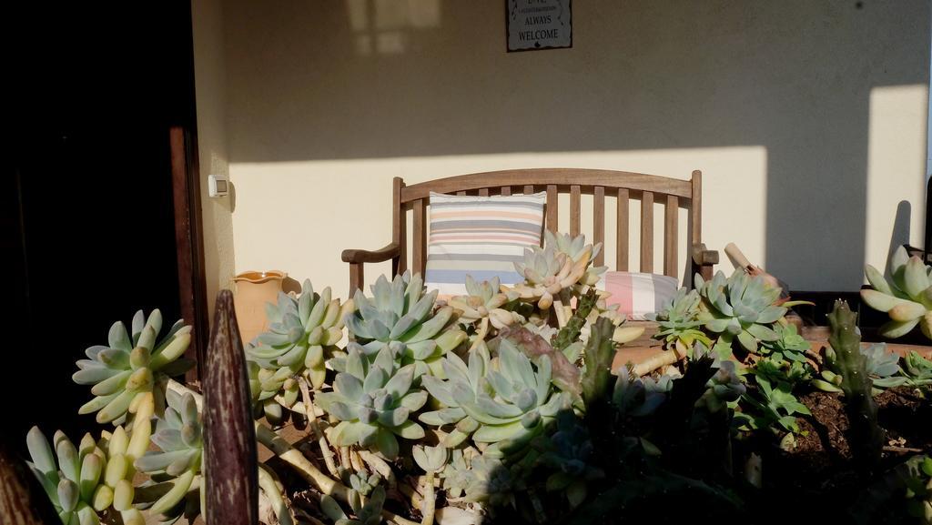 B&B Le Rose Siderno Exterior foto